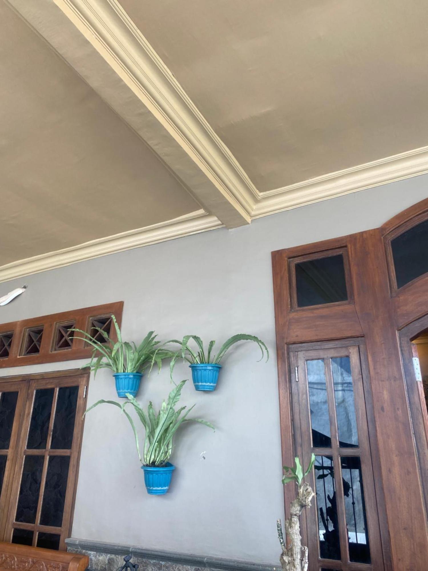 Good Feeling Banyuwangi Albergue Banyuwangi  Exterior foto